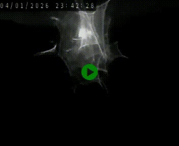 Caméra autoroute A75 à hauteur de Le Crest, en direction de Montpellier