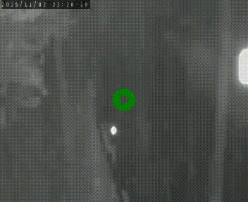 Caméra routière France - N102, au niveau du col de Montmirat à Saint-Etienne-du-Valdonnez à 1039 mètres d'altitude