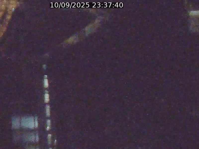 Webcam sur l'avenue John Fitzgerald Kennedy (N51) avec vue orientée vers le Findel