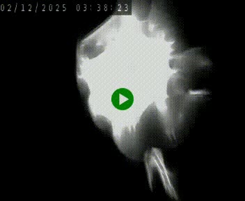 Caméra autoroute A75 à hauteur de Le Crest, en direction de Montpellier