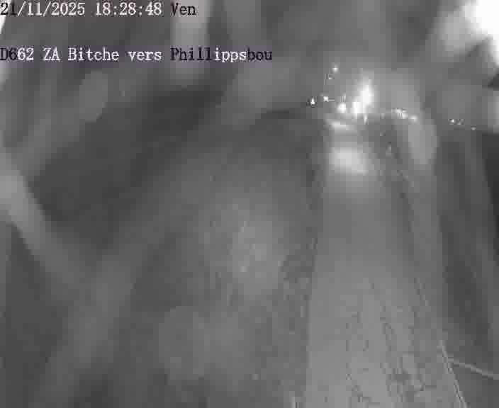 Caméra de trafic sur D662 (France) à Bitche, orientée vers Phillippsbourg, permettant d’évaluer fluidité, incidents et densité automobile.