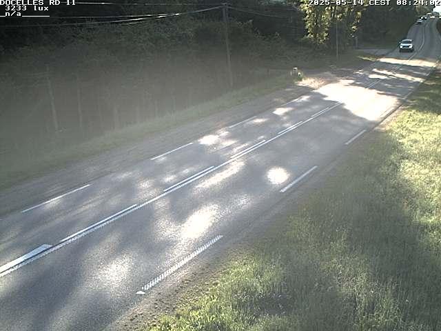 Webcam à 424 mètres d'altitude dans la Tranchée de Docelles dans les Vosges, à proximité d'Epinal sur la route de Gerardmer (D11)