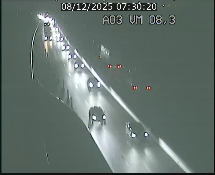 Traffic live webcam Luxembourg Bettembourg - A3 - BK 8.3 - direction France