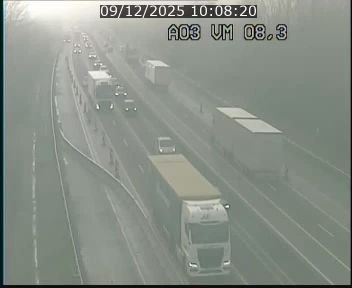 Traffic live webcam Luxembourg Bettembourg - A3 - BK 8.3 - direction France