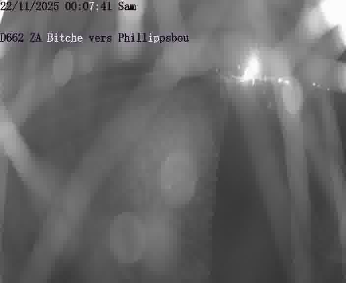 Caméra de trafic sur D662 (France) à Bitche, orientée vers Phillippsbourg, permettant d’évaluer fluidité, incidents et densité automobile.