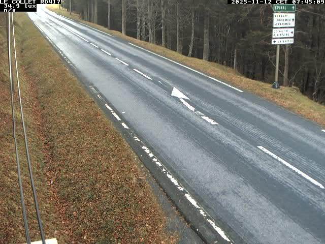 Caméra du Collet sur la route de Colmar (D417)