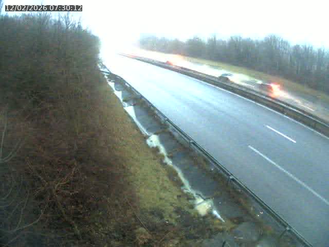 Webcam route sur la N59 à Flavigny-sur-Moselle à proximité de Nancy vers Epinal