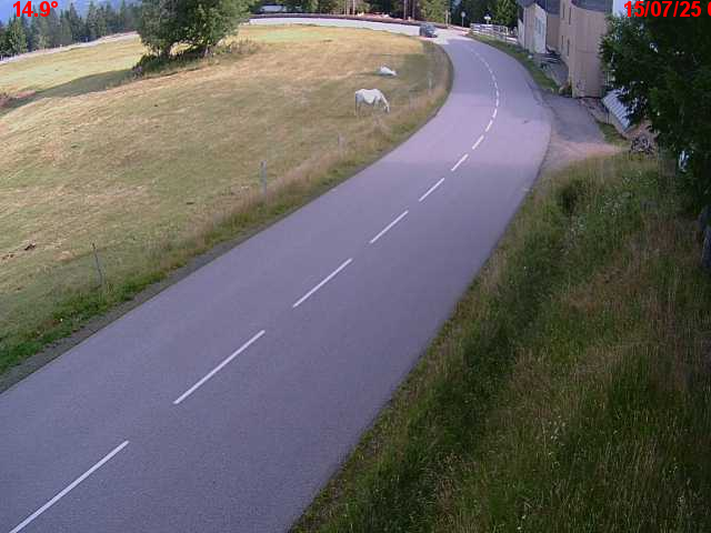 Webcam en haut du col du Ballon d'Alsace sur la D465 à 1075 mètres d'altitude dans les Vosges