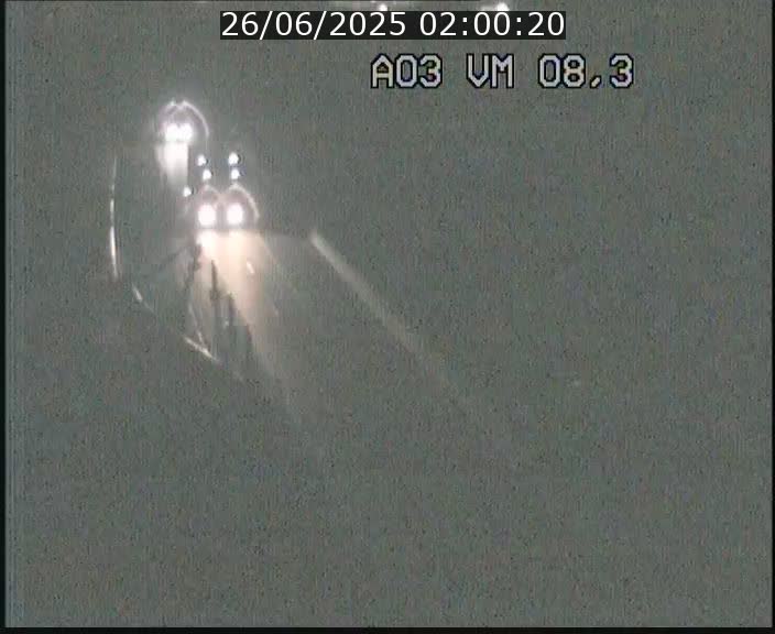 Traffic live webcam Luxembourg Bettembourg - A3 - BK 8.3 - direction France