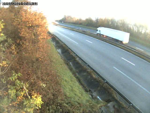 Webcam route sur la N59 à Flavigny-sur-Moselle à proximité de Nancy vers Epinal