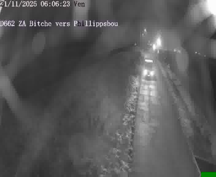 Caméra de trafic sur D662 (France) à Bitche, orientée vers Phillippsbourg, permettant d’évaluer fluidité, incidents et densité automobile.