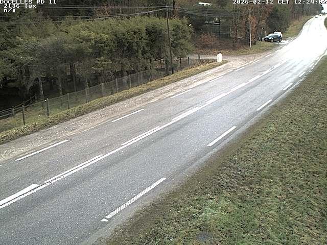 Webcam à 424 mètres d'altitude dans la Tranchée de Docelles dans les Vosges, à proximité d'Epinal sur la route de Gerardmer (D11)