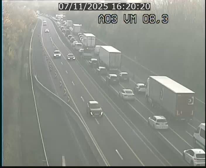 Traffic live webcam Luxembourg Bettembourg - A3 - BK 8.3 - direction France