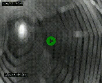 Webcam dans les Pyrénées Atlantique au niveau du col d'Urdos et du fort du Pourtalet sur la N134, en direction du Col et du tunnel du Somport, à 765 mètres d'altitude