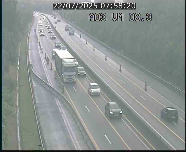 Traffic live webcam Luxembourg Bettembourg - A3 - BK 8.3 - direction France