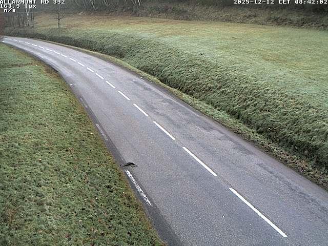 Webcam à Allarmont dans les Vosges, sur la RD392