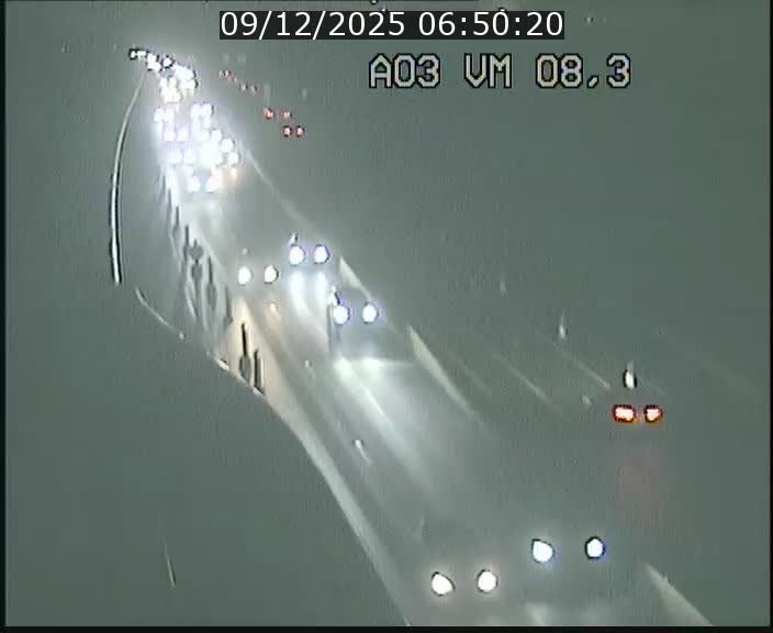 Traffic live webcam Luxembourg Bettembourg - A3 - BK 8.3 - direction France