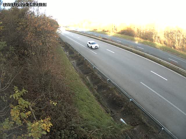 Webcam route sur la N59 à Flavigny-sur-Moselle à proximité de Nancy vers Epinal
