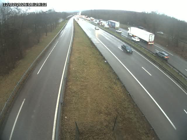 Caméra autoroute France - A31, Velaine-en-Haye direction Nancy