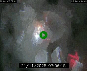 Webcam sur le périphérique de Nantes (N844) entre la Porte de Saint-Luce et la Porte d'Anjou, à l'est de la ville