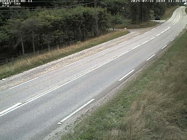 Webcam à 424 mètres d'altitude dans la Tranchée de Docelles dans les Vosges, à proximité d'Epinal sur la route de Gerardmer (D11)