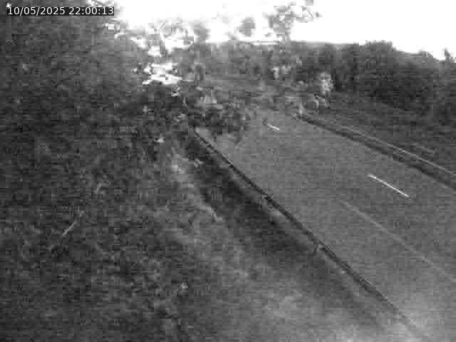 Webcam route sur la N59 à Flavigny-sur-Moselle à proximité de Nancy vers Epinal