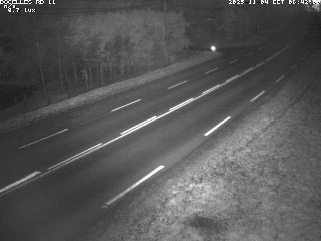 Webcam à 424 mètres d'altitude dans la Tranchée de Docelles dans les Vosges, à proximité d'Epinal sur la route de Gerardmer (D11)