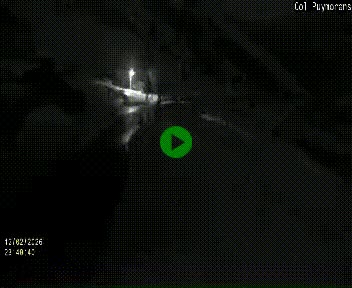 Webcam Col du Puymorens sur N320, en direction de Pas de la Casa (Andorre)