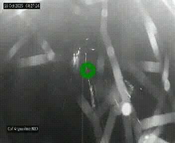 Webcam routière à la fin de la N10, en périphérique ouest d'Angouleme, proche de la jonction avec l'A10