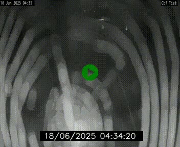 Webcam sur le périphérique de Rennes (N136) à hauteur de Tizé, à l'est de la ville
