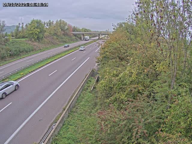Caméra autoroute France - A31, Kanfen direction Luxembourg