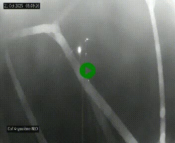 Webcam routière à la fin de la N10, en périphérique ouest d'Angouleme, proche de la jonction avec l'A10