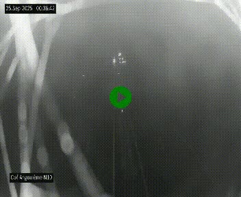 Webcam routière à la fin de la N10, en périphérique ouest d'Angouleme, proche de la jonction avec l'A10