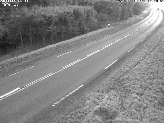Webcam à 424 mètres d'altitude dans la Tranchée de Docelles dans les Vosges, à proximité d'Epinal sur la route de Gerardmer (D11)