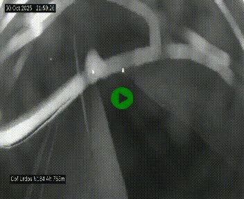 Webcam dans les Pyrénées Atlantique au niveau du col d'Urdos et du fort du Pourtalet sur la N134, en direction du Col et du tunnel du Somport, à 765 mètres d'altitude