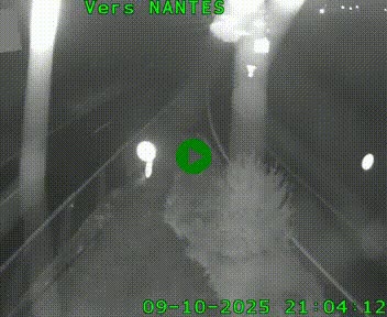 Webcam N147 au nord de Poitiers et à la jonction avec la A10