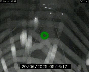 Webcam sur le périphérique de Rennes (N136) à hauteur de Tizé, à l'est de la ville