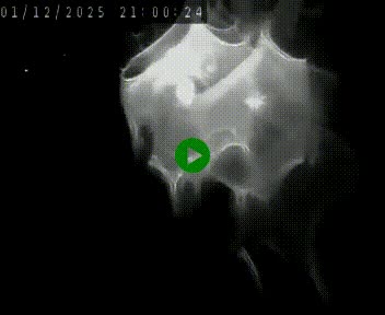 Caméra autoroute A75 à hauteur de Le Crest, en direction de Montpellier