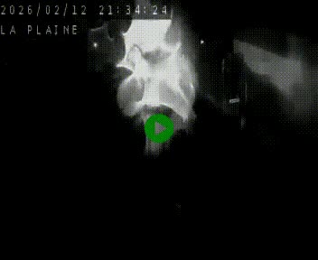 Caméra routière France - N109, Juvignac - La plaine, en direction de Clermont l'Hérault, à la sortie de Montpellier