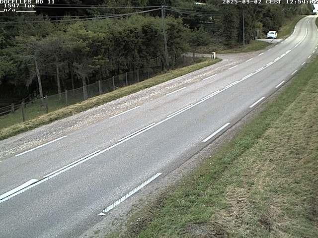 Webcam à 424 mètres d'altitude dans la Tranchée de Docelles dans les Vosges, à proximité d'Epinal sur la route de Gerardmer (D11)