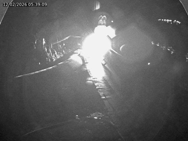 Caméra autoroute France - N66, col du Bussang direction Remiremont