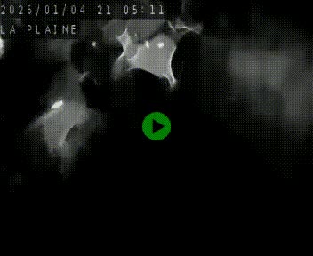 Caméra routière France - N109, Juvignac - La plaine, en direction de Clermont l'Hérault, à la sortie de Montpellier