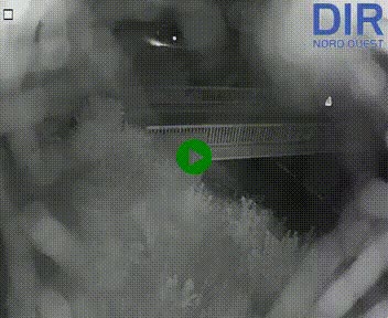 Webcam sur A84 à hauteur de Pont-Farcy, au niveau du pont autoroutier sur la Vire, au sud de Saint-Lô