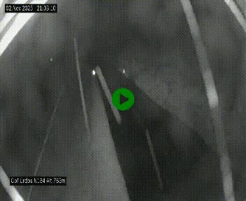 Webcam dans les Pyrénées Atlantique au niveau du col d'Urdos et du fort du Pourtalet sur la N134, en direction du Col et du tunnel du Somport, à 765 mètres d'altitude