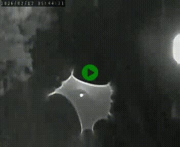 Caméra routière France - N102, au niveau du col de Montmirat à Saint-Etienne-du-Valdonnez à 1039 mètres d'altitude