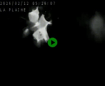 Caméra routière France - N109, Juvignac - La plaine, en direction de Clermont l'Hérault, à la sortie de Montpellier