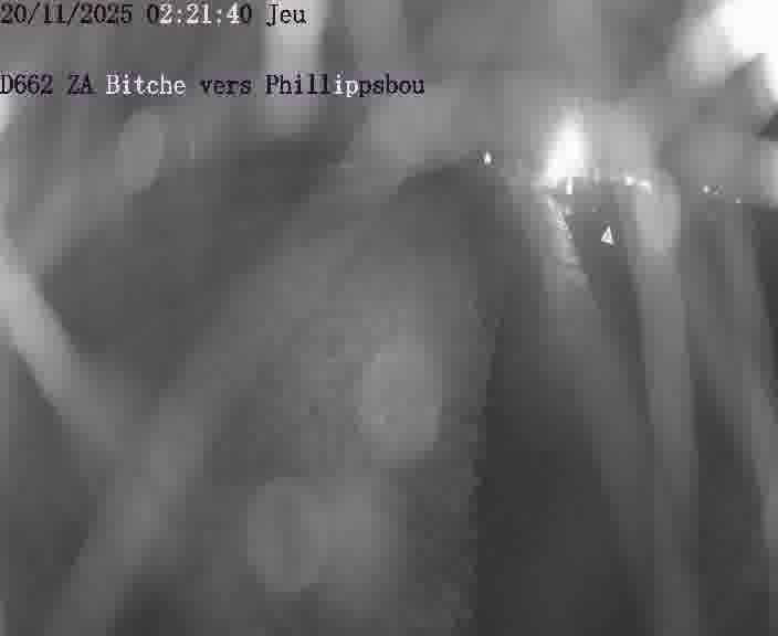 Caméra de trafic sur D662 (France) à Bitche, orientée vers Phillippsbourg, permettant d’évaluer fluidité, incidents et densité automobile.