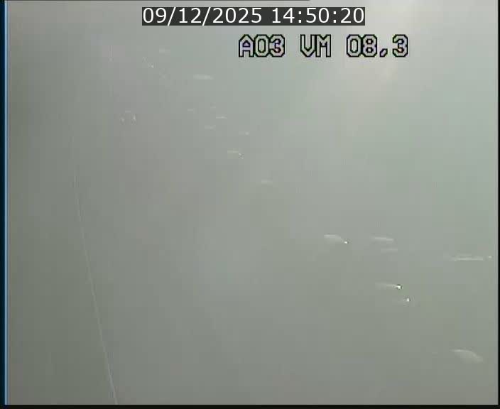 Traffic live webcam Luxembourg Bettembourg - A3 - BK 8.3 - direction France