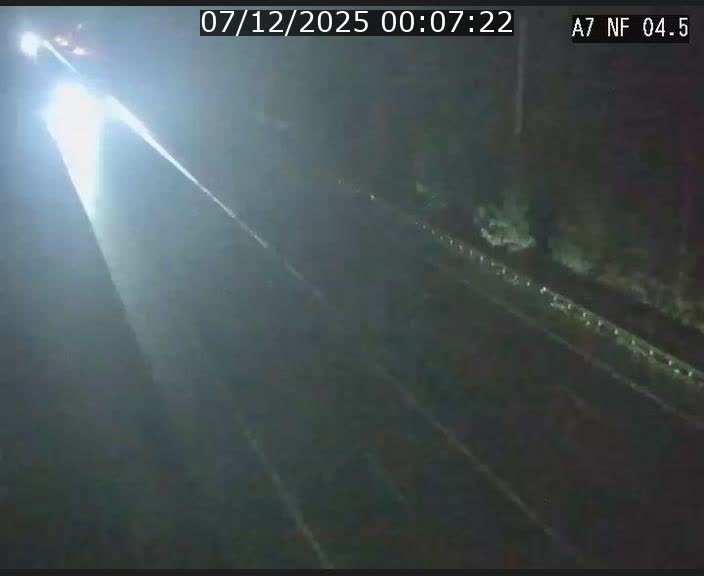 Caméra autoroute Luxembourg A7 - Passage à gibier Rëngelbour - direction Tunnel Grouft