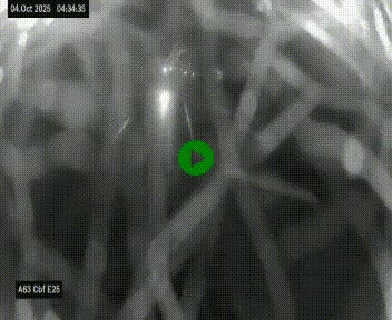 Webcam autoroute A63 en périphérie de Bordeaux au sud-est de la ville, en provenance du bassin d'Arcachon. Vue orientée vers Bordeaux